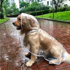 Transparent Dog Raincoat