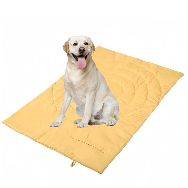 Travel Outdoor Dog Mat