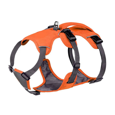 Nylon Pet Dog Harness