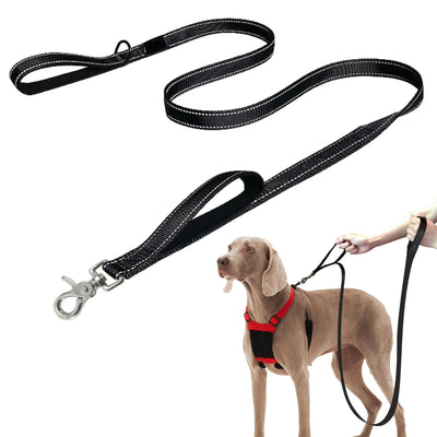 Double Handle Dog Leash