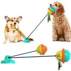 Suction Dog Toy