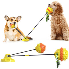 Suction Dog Toy