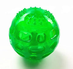 Squeaky Toy Dog Ball