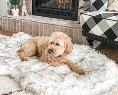 Orthopedic Fur Dog Bed