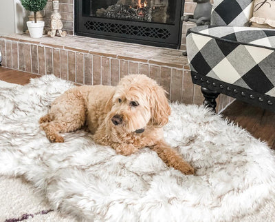 Orthopedic Fur Dog Bed