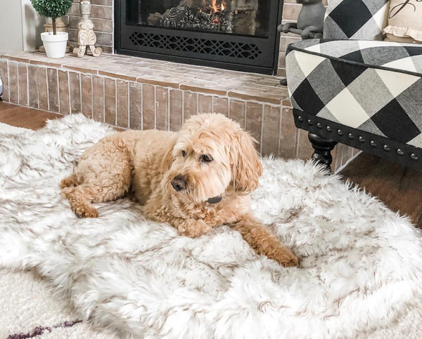 Orthopedic Fur Dog Bed