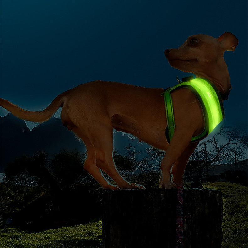 LED Dog Vest Harness