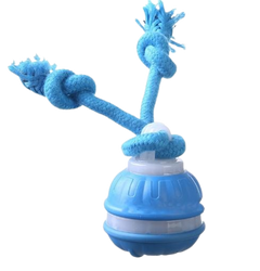 Paw Glide Toy