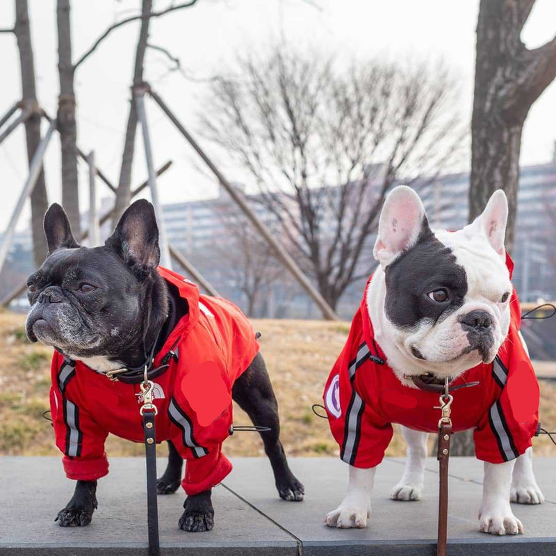 Dog Waterproof Jacket
