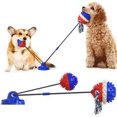 Suction Dog Toy