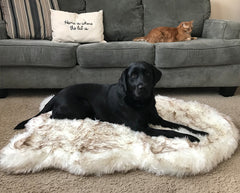 Orthopedic Fur Dog Bed