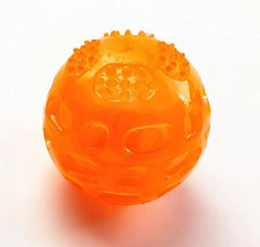 Squeaky Toy Dog Ball