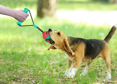 Dog Tug Rope Toy