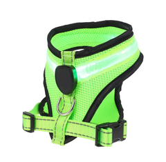 LED Dog Harness