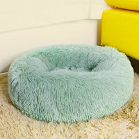 Beds & Comfort