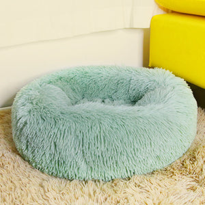 Beds & Comfort